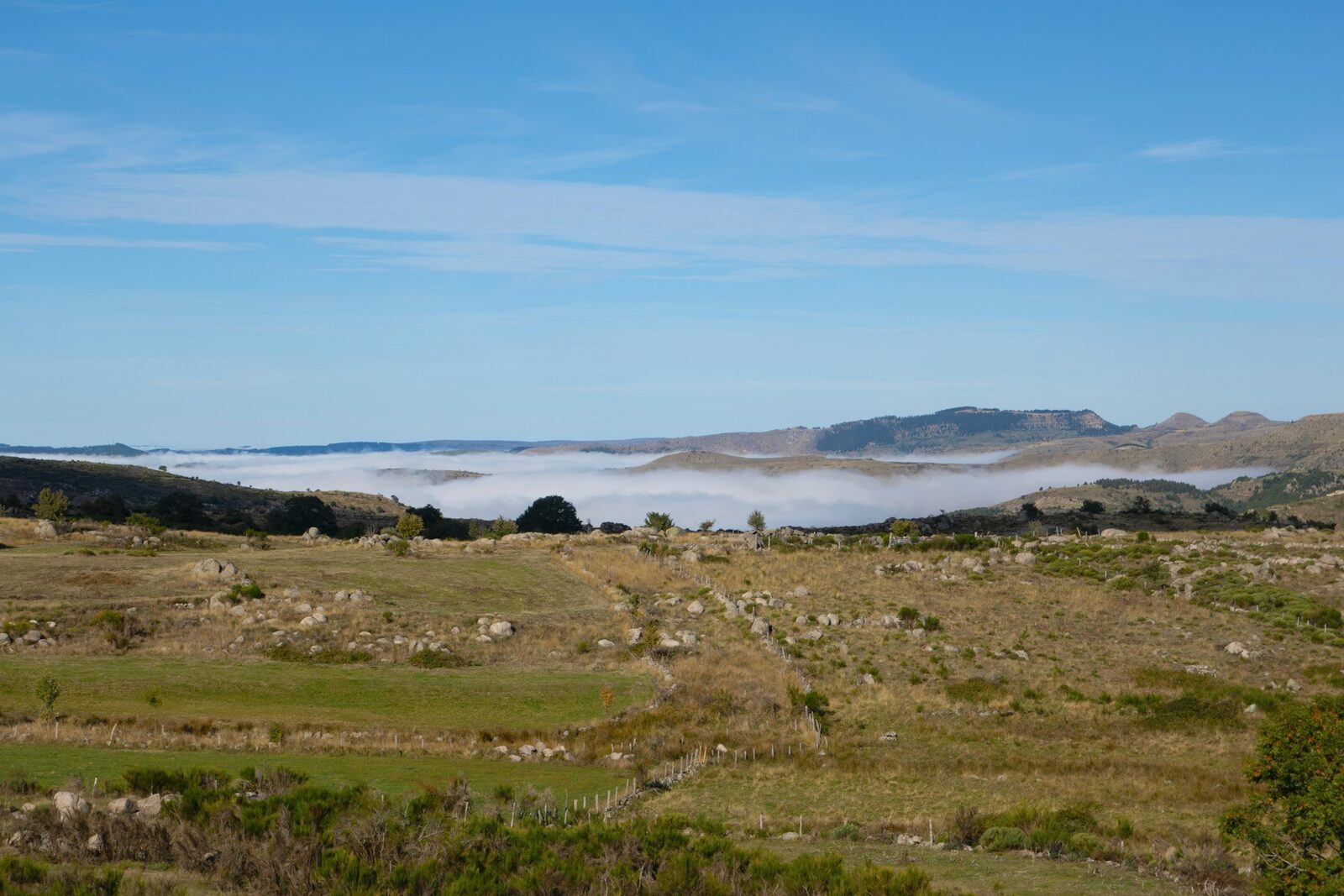 Rolling hills with fog settling into the valley beyond
